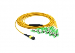 MTP FCAPC Cable 10